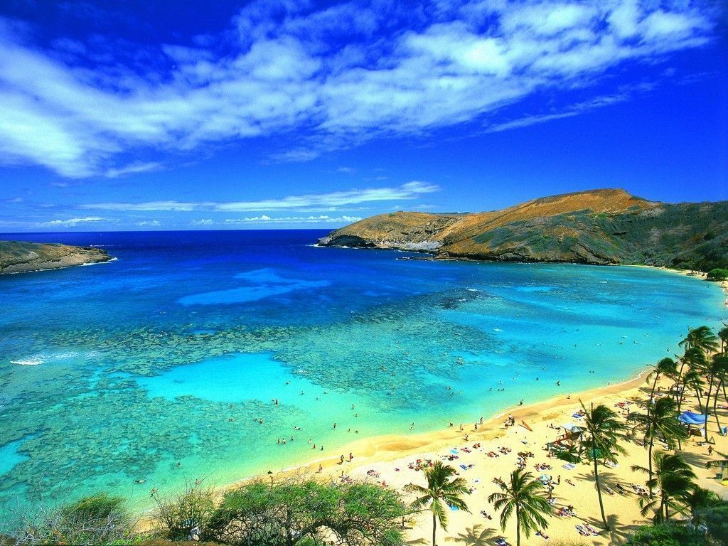 mon réve... la plage... les cocotiers... le soleil... la mer bleue ... mon réve... la plage... les cocotiers... le soleil... la mer bleue ...